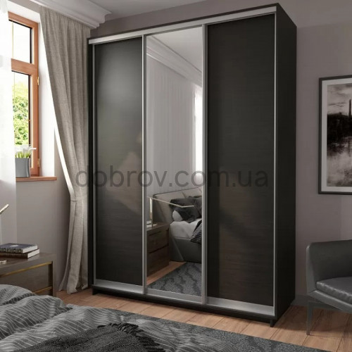 Шкаф-купе 220x60x240 в Добров Меблі Шкаф-купе 220x60x240 в Добров Меблі