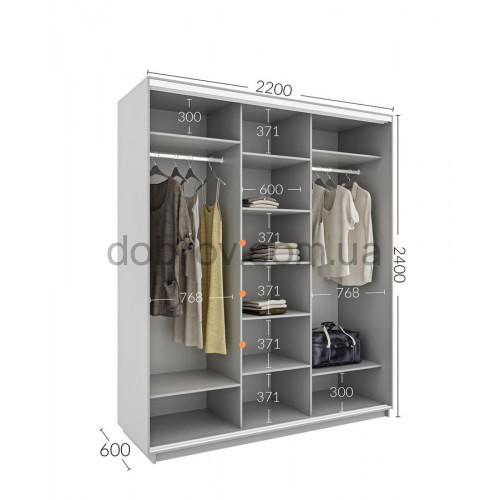Шкаф-купе 220x60x240 в Добров Меблі Шкаф-купе 220x60x240 в Добров Меблі