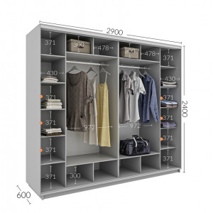 Шкаф-купе 290x60x240