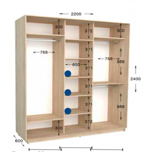 Шкаф-купе Практик 99/4 220x60x240