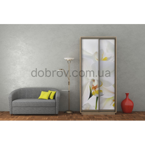 Шкаф-купе 100x60x220 в Добров Меблі Шкаф-купе 100x60x220 в Добров Меблі