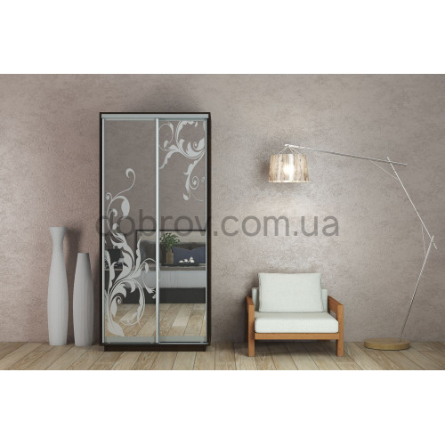 Купити Шафа-купе 100x60x220 в Добров Меблі Купити Шафа-купе 100x60x220 в Добров Меблі