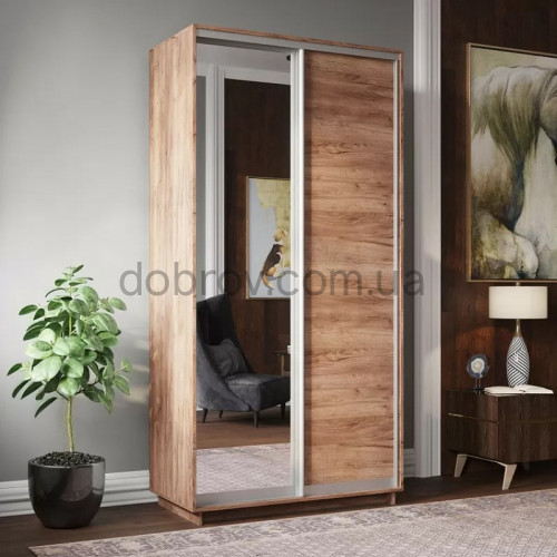 Шкаф-купе 100x45x240 в Добров Меблі Шкаф-купе 100x45x240 в Добров Меблі