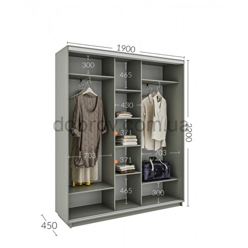 Шкаф-купе 190x45x220 в Добров Меблі Шкаф-купе 190x45x220 в Добров Меблі