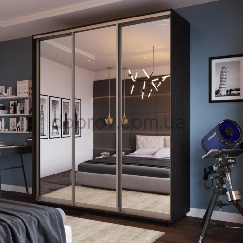 Шкаф-купе 190x60x220 в Добров Меблі Шкаф-купе 190x60x220 в Добров Меблі