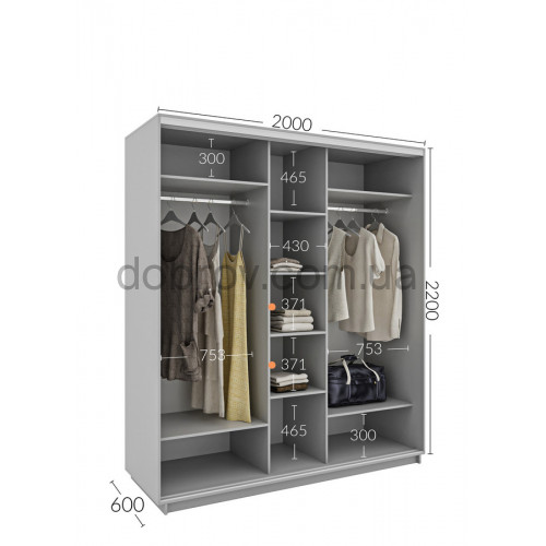 Шкаф-купе 200x60x220 в Добров Меблі Шкаф-купе 200x60x220 в Добров Меблі
