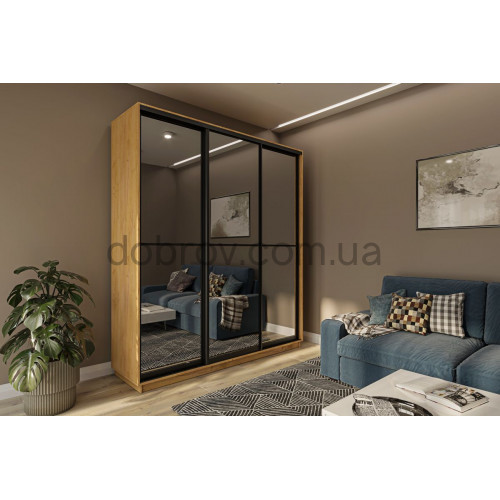 Купити Шафа-купе 210x60x220 в Добров Меблі Купити Шафа-купе 210x60x220 в Добров Меблі