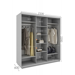 Шкаф-купе 210x60x220