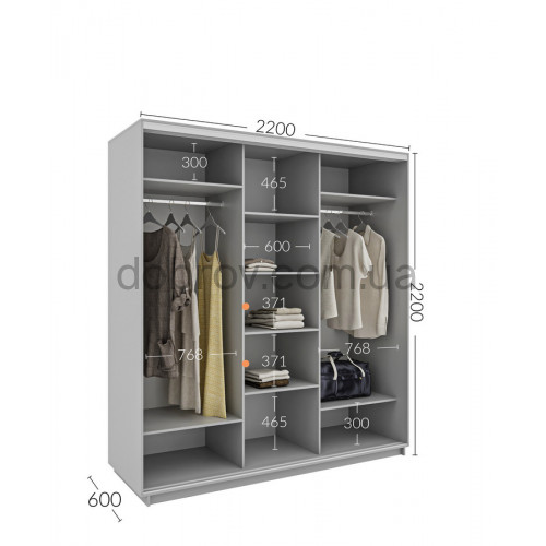 Шкаф-купе 220x60x220 в Добров Меблі Шкаф-купе 220x60x220 в Добров Меблі