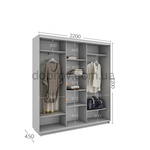 Шкаф-купе 220x45x220 в Добров Меблі Шкаф-купе 220x45x220 в Добров Меблі