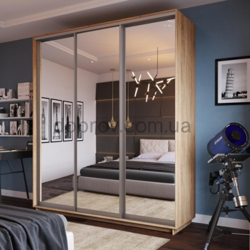 Шкаф-купе 240x60x220 в Добров Меблі Шкаф-купе 240x60x220 в Добров Меблі