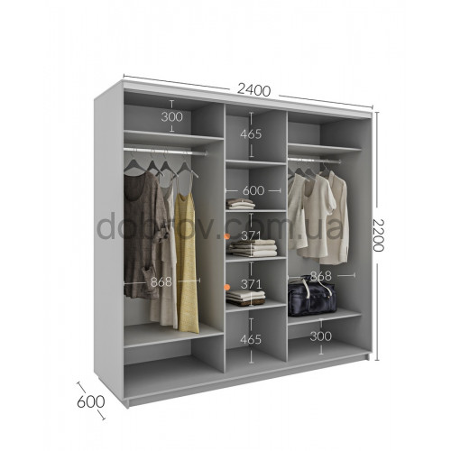 Шкаф-купе 240x60x220 в Добров Меблі Шкаф-купе 240x60x220 в Добров Меблі