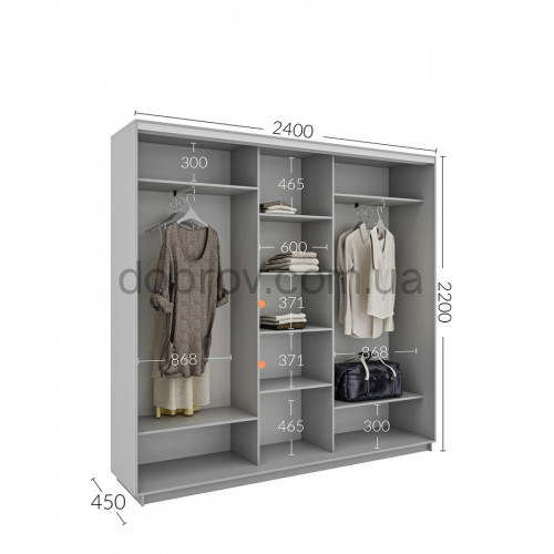 Шкаф-купе 240x45x220 в Добров Меблі Шкаф-купе 240x45x220 в Добров Меблі