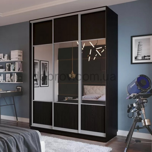 Купити Шафа-купе 250x45x240 в Добров Меблі Купити Шафа-купе 250x45x240 в Добров Меблі