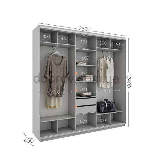 Шкаф-купе 250x45x240 в Добров Меблі Шкаф-купе 250x45x240 в Добров Меблі