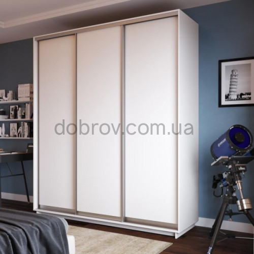 Шкаф-купе 250x45x220 в Добров Меблі Шкаф-купе 250x45x220 в Добров Меблі