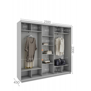 Шкаф-купе 250x45x220