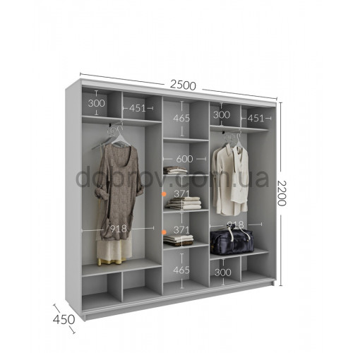 Шкаф-купе 250x45x220 в Добров Меблі Шкаф-купе 250x45x220 в Добров Меблі