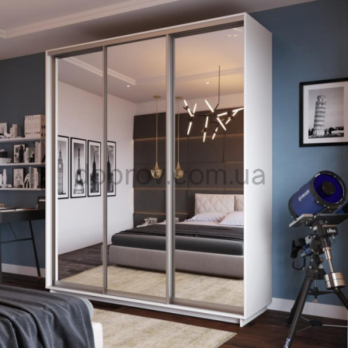 Шкаф-купе 250x60x220 в Добров Меблі Шкаф-купе 250x60x220 в Добров Меблі