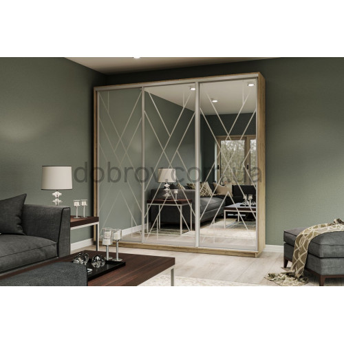 Шкаф-купе 250x60x220 в Добров Меблі Шкаф-купе 250x60x220 в Добров Меблі