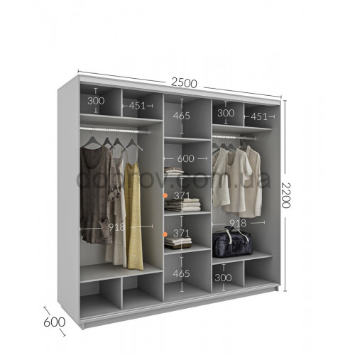 Шкаф-купе 250x60x220 в Добров Меблі Шкаф-купе 250x60x220 в Добров Меблі