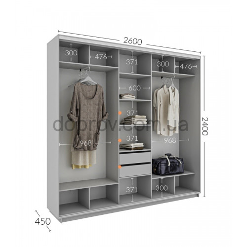 Шкаф-купе 260x45x240 в Добров Меблі Шкаф-купе 260x45x240 в Добров Меблі