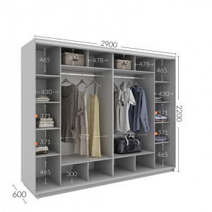 Шкаф-купе 290x60x220