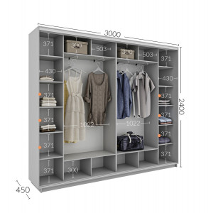 Шкаф-купе 300x45x220