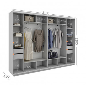 Шкаф-купе 310x45x220