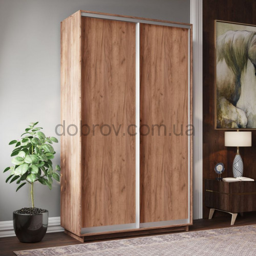 Шкаф-купе Практик 23 120x60x240 в Добров Меблі Шкаф-купе Практик 23 120x60x240 в Добров Меблі