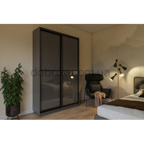 Шкаф-купе Практик 48 150x60x240 в Добров Меблі Шкаф-купе Практик 48 150x60x240 в Добров Меблі