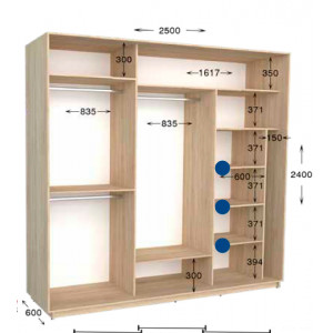 Шкаф-купе Практик 126 250x60x240