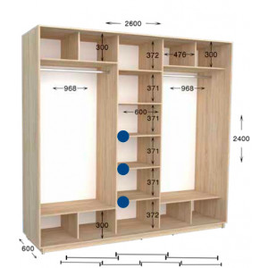 Шкаф-купе Практик 130/4 260x60x240