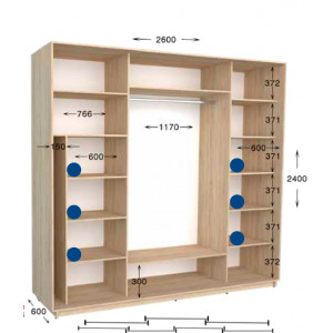 Шкаф-купе Практик 132/4 260x60x240