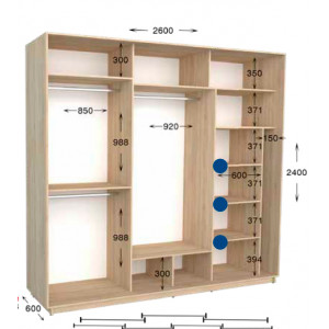 Шкаф-купе Практик 134/4 260x60x240