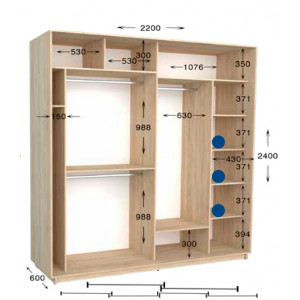 Шкаф-купе Практик 98/4 220x60x240