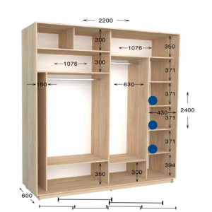 Шкаф-купе Практик 99/2 220x60x240