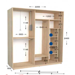 Шкаф-купе Практик 101/2 220x60x240