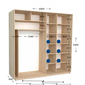 Шкаф-купе Практик 110/2 230x60x240