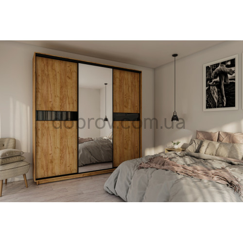 Шкаф-купе Практик 119/3 240x60x240 в Добров Меблі Шкаф-купе Практик 119/3 240x60x240 в Добров Меблі