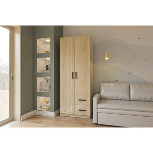 Шафа розпашна Сімпл 2Д 2Ш