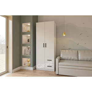 Шафа розпашна Сімпл 2Д 2Ш